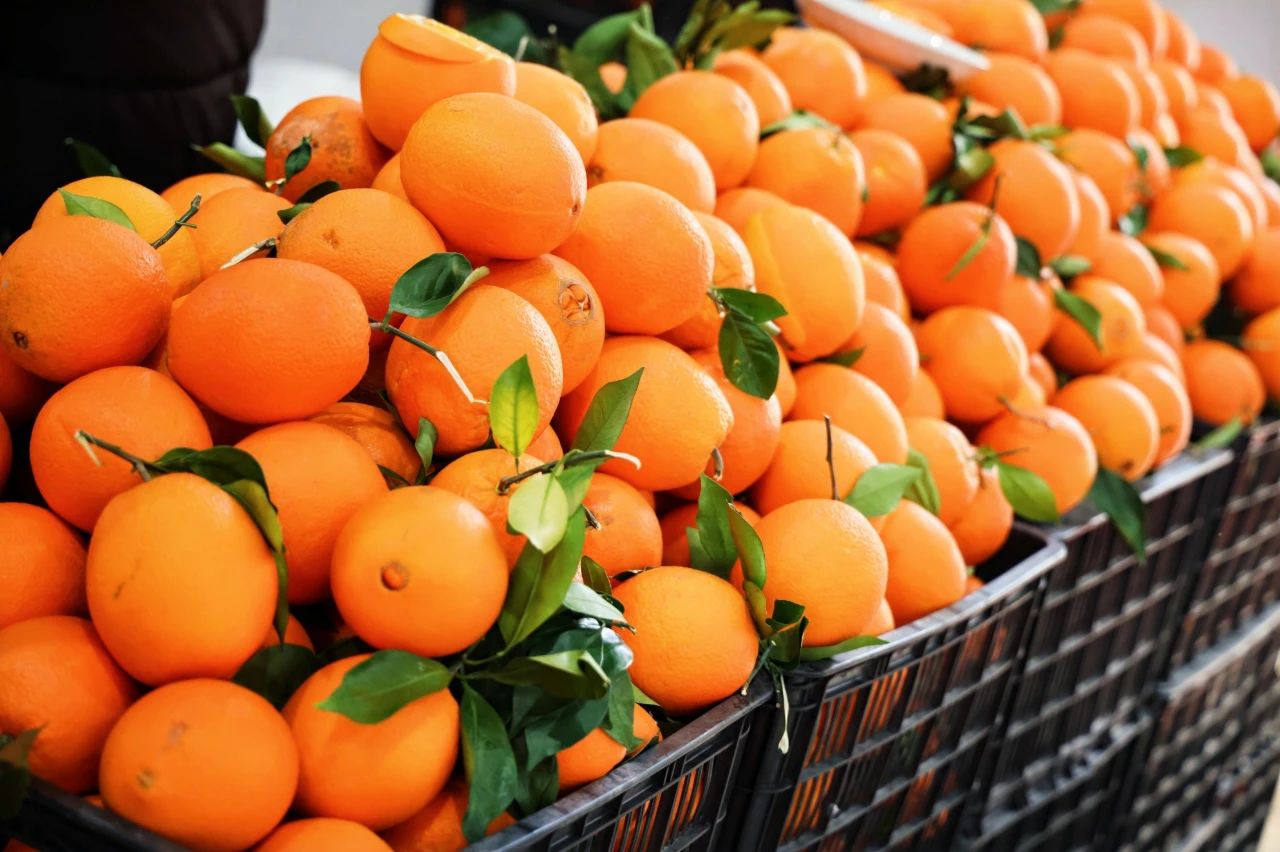 微信图片_20250508150759 微信图片_20250508150759